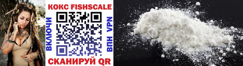 Cocaine FishScale  Купить закладки  Богородицк 