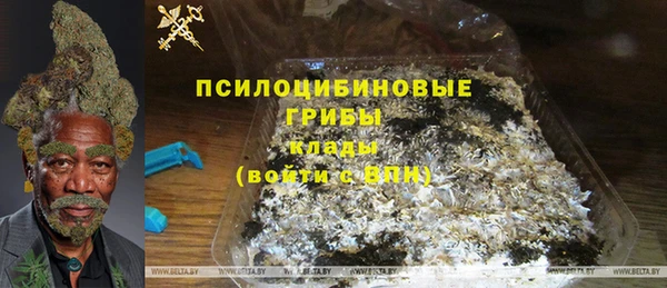твердый Богородицк