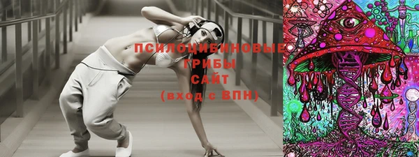бошки Бронницы